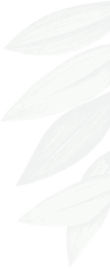 leaf_af