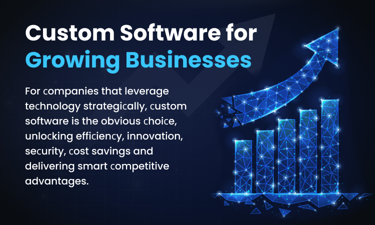 top-10-benefits-of-custom-software-for-growing-businesses